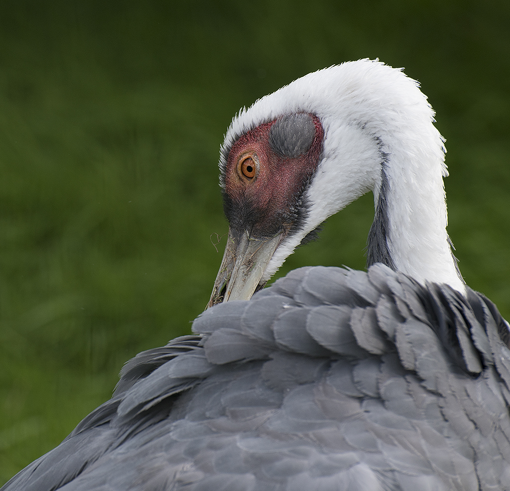 Schleswig Holstein Ostsee 09_2015 KA7_4583 als Smartobjekt-1 Kopie.jpg